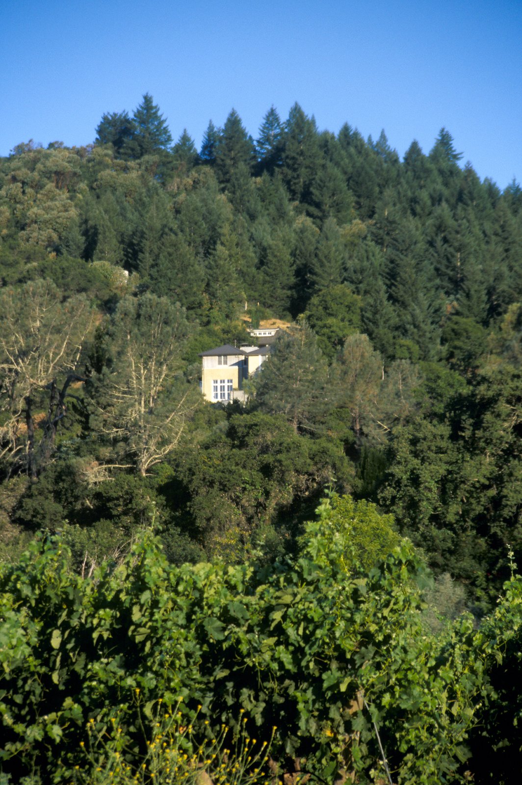 Photo 18 of 18 in Burwell by Richard Beard Architects Dwell