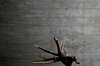 Modern home with Living Room. Detalle muro de concreto Photo 10 of CASA VG