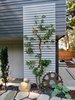 Modern home with Outdoor, Vertical Fences, Wall, Back Yard, and Garden. Trellis Photo 12 of Cortes Island Custom Blu Prefab