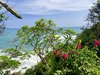 The flora and fauna abound, here the southern view from the master balcony. Photo 15 of Esquina Del Cielo modern home
