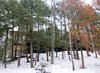 Modern home with Exterior, House, Beach House Building Type, Metal Roof Material, Wood Siding Material, Glass Siding Material, Flat RoofLine, and Gable RoofLine. overall Photo 3 of Tucker Lake Cottage