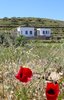 Modern home with Exterior, Flat RoofLine, Camper Building Type, Small Home Building Type, Tiny Home Building Type, Green Roof Material, Concrete Siding Material, and Stucco Siding Material. spring view Photo 4 of the camping house