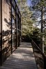 Modern home with Exterior, Shingles Roof Material, Flat RoofLine, House Building Type, and Wood Siding Material. House meets nature Photo 19 of Woodland house