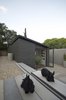 Modern home with Outdoor, Front Yard, Trees, Walkways, and Hardscapes. The home office is accessed from the entrance courtyard. The Scottish terriers Maya & Eva in the foreground. Photo 8 of Grey House