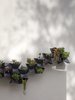 Modern home with Outdoor, Gardens, and Flowers. The east facing patio has a geometric wall mounted succulent planter. The graphite colored planters and white wall contrast the various colors of the plantings. Photo 7 of The Winnwood Residence