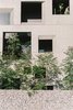 Modern home with Outdoor, Trees, Garden, and Stone Fences, Wall. Openings for plants Photo 9 of The Window House