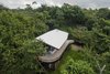 Modern home with Outdoor, Landscape Lighting, Back Yard, and Trees. Black Playground House Photo 3 of Black Playground House by LSD Architects