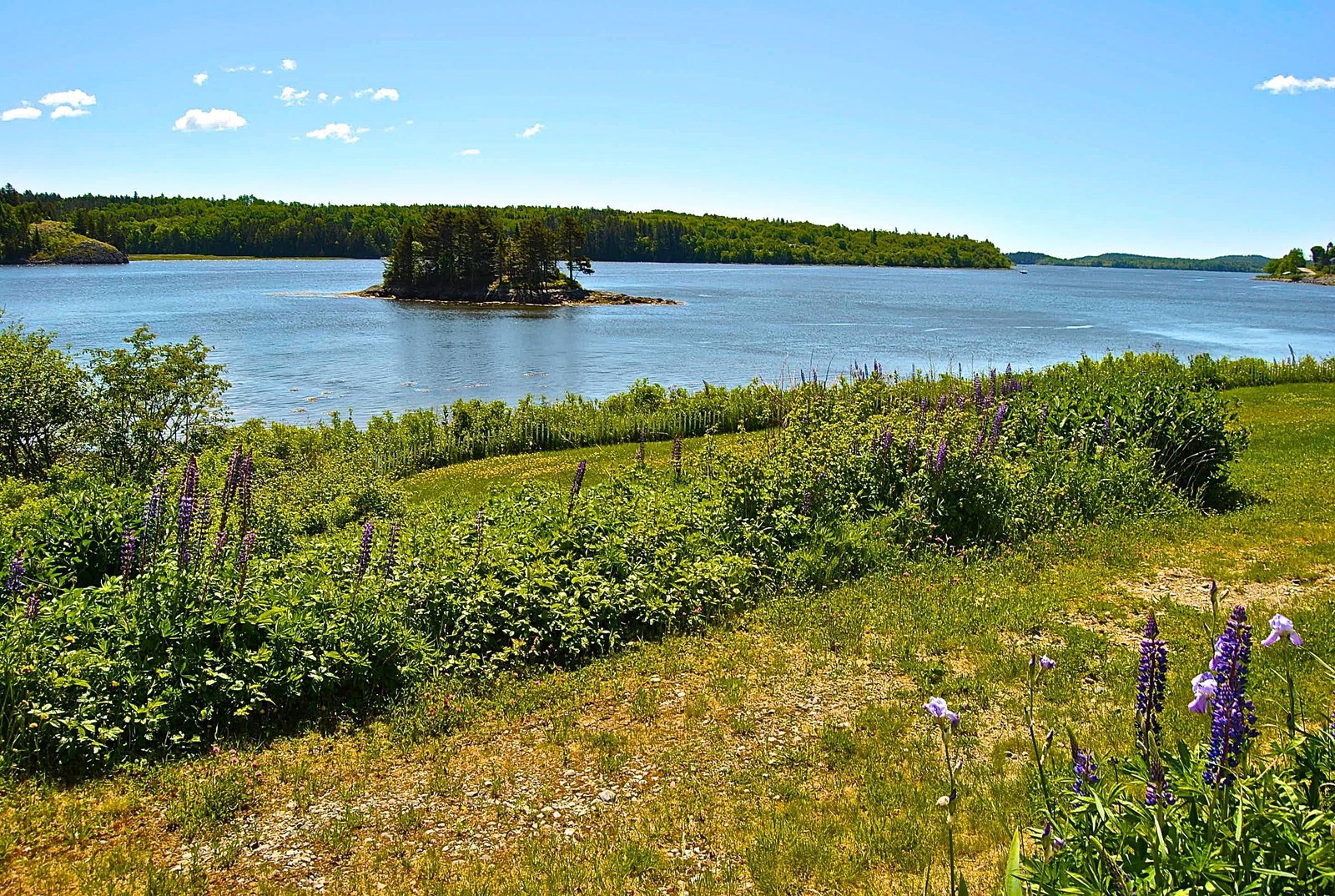 Photo 1 of 23 in Featherbed Island House. Bayfront Vacation Rental by