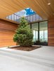 Modern home with Exterior. Keeping with the natural surroundings and color this tree has room to grow and enhance the landscape. Photo 6 of Purple Sage