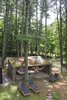 Modern home with Outdoor, Woodland, Trees, Hanging Lighting, and Grass. Hammock Lounge in the woods Photo 15 of The Litwood House