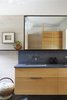 Modern home with Bath Room. Master Bath Vanity Photo 8 of The Splinter Creek Home