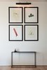 Modern home with Living Room, Light Hardwood Floor, and Wall Lighting. The living room displays prints by artist Richard Vergez. Photo 11 of Normal Heights Residence