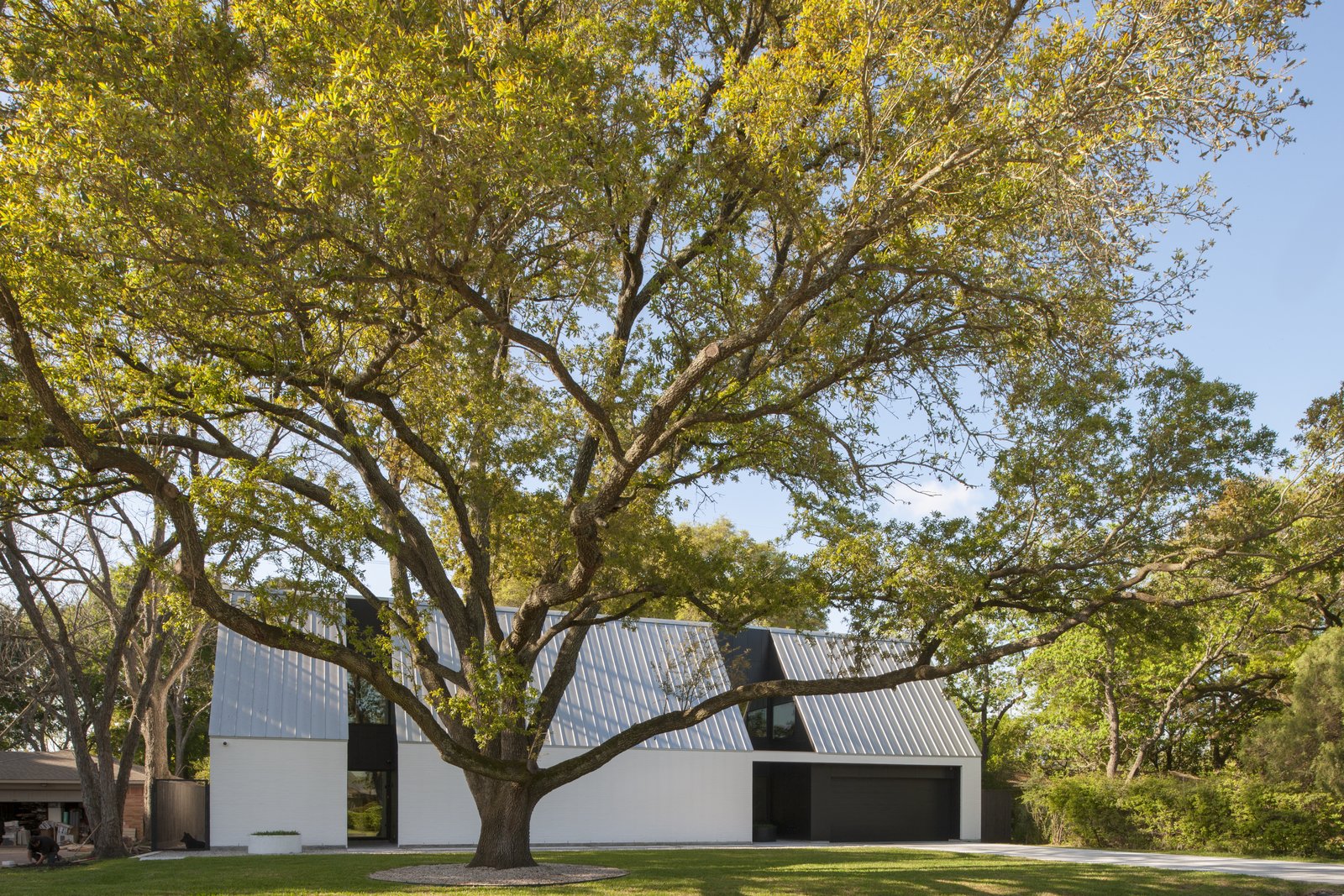 Photo 1 of 20 in R House by RFR from home - Dwell
