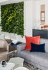 Modern home with Hallway and Medium Hardwood Floor. Our clients are lovers of environment, so we designed a living plant wall, adjacent to the foyer, for an entryway full of original art pieces and vibrant plant life. Photo 2 of Central Park West Penthouse