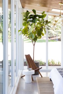 A wooden chair and fiddle leaf fern are calming accents in the sleeping area.