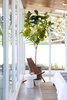 Modern home with Concrete Floor, Ceiling Lighting, and Recessed Lighting. A wooden chair and fiddle leaf fern are calming accents in the sleeping area. Photo 12 of Modern Mountain Pool House