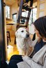 Modern home with Outdoor. Your furry friend deserves a getaway too! Photo 4 of CABN