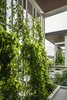 Modern home with Outdoor, Shrubs, and Gardens. Behind the scene of green screen Photo 14 of SIRI House
