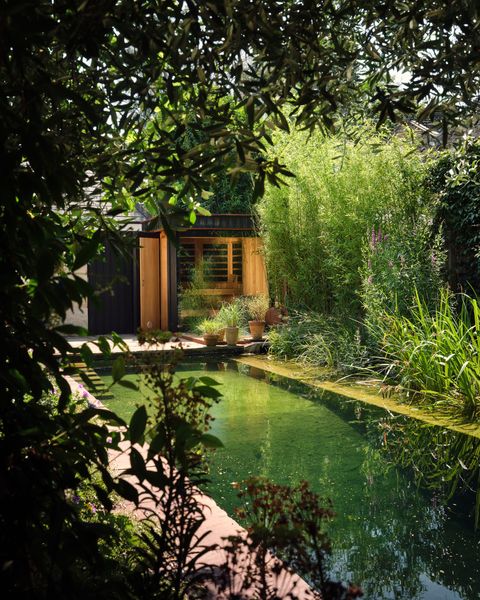 The sauna and the adjoining changing room look out onto the natural pool, creating a slice of urban wellness in an east London garden