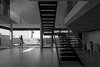 Modern home with Staircase, Metal Tread, Metal Railing, Wood Tread, and Glass Railing. IF House - Photo 08 Photo 8 of IF House