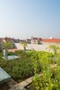 Modern home with Outdoor, Vegetables, and Rooftop. The rooftop garden not only provides daily food for the family, but also a place to rest every afternoon. Photo 10 of Ninh Binh House