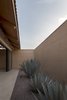 Modern home with Outdoor and Side Yard. garden with native vegetation. Photo 6 of Casa Moulat