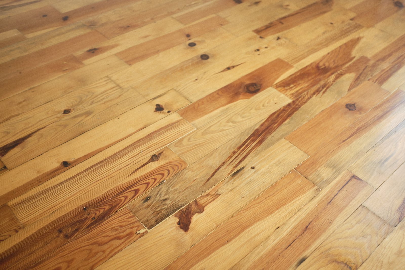 Photo 8 of 17 in Mulberry St. House by Jonathan Dearman Dwell