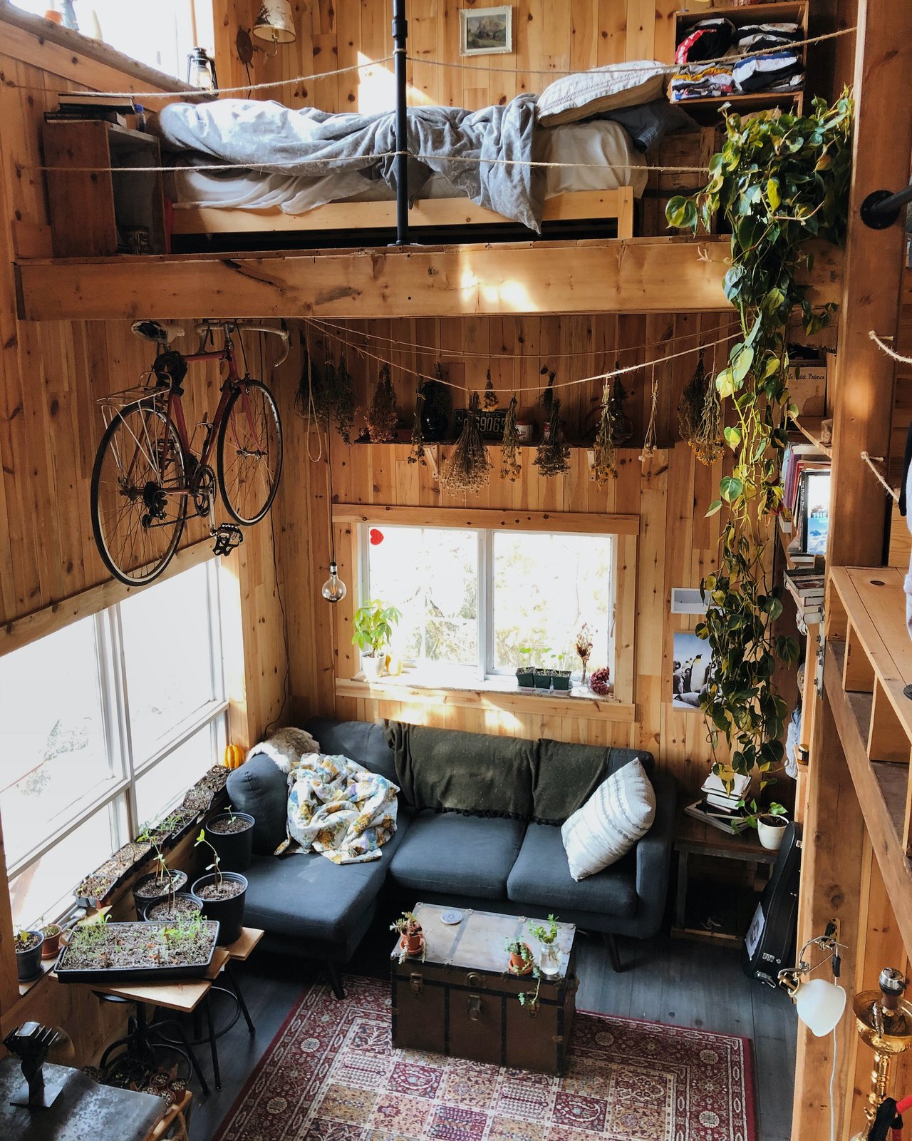 photo-8-of-19-in-a-filmmaker-builds-a-rustic-off-grid-cabin-deep-in-a