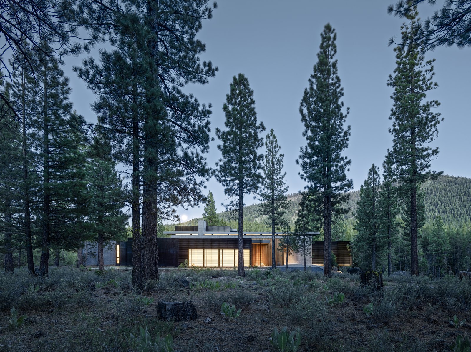 Creek House