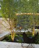 Modern home with Outdoor, Wood Fences, Wall, Decking Patio, Porch, Deck, Large Patio, Porch, Deck, and Wood Patio, Porch, Deck. The kitchen & dining areas open out to a secluded and densely treed back yard with picnic table, lounge seating, and fire pit, evoking an intimate campsite in the heart of the city. Photo 15 of Bellwoods Lodge