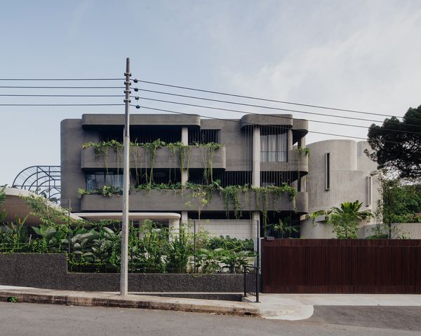 The concrete building is lined with planters so plants drape like spindly curtains down the walls. 