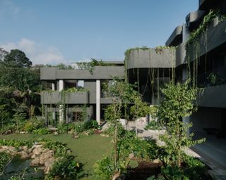 Gardens Grow Inside and Out of This Wild Singapore Home