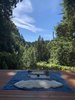 afternoon tea sit Photo 15 of Bonny Doon Forest Temple modern home