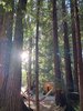 magical little corners Photo 16 of Bonny Doon Forest Temple modern home