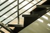 Windsor Residence by Dick Clark + Associates Photo 14 of Windsor Residence modern home