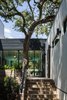 Modern home with Outdoor, Side Yard, Small Patio, Porch, Deck, Trees, and Wood Patio, Porch, Deck. Windsor Residence by Dick Clark + Associates Photo 4 of Windsor Residence