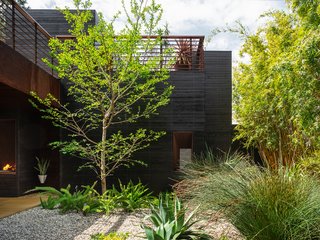 Another view from the same courtyard.