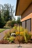 Modern home with Outdoor, Grass, Gardens, Flowers, Shrubs, and Front Yard. Olympia Prairie Home exterior Photo 6 of Olympia Prairie Home