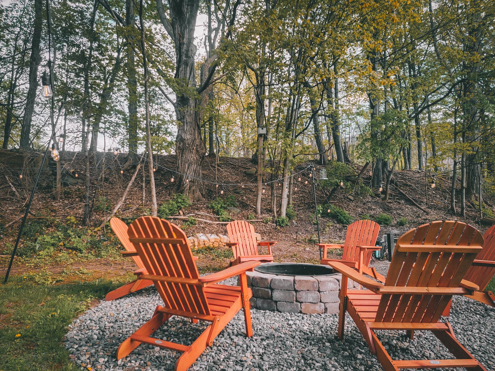 Photo 11 of 11 in Sutton Hollow Lodge airbnb by LivletStudio Dwell