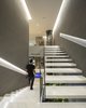 STAIRCASE Photo 18 of RAINFOREST HOUSE modern home