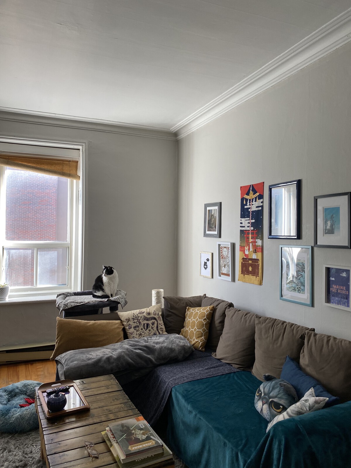 BEFORE: The living room was functional but not especially inspired. 