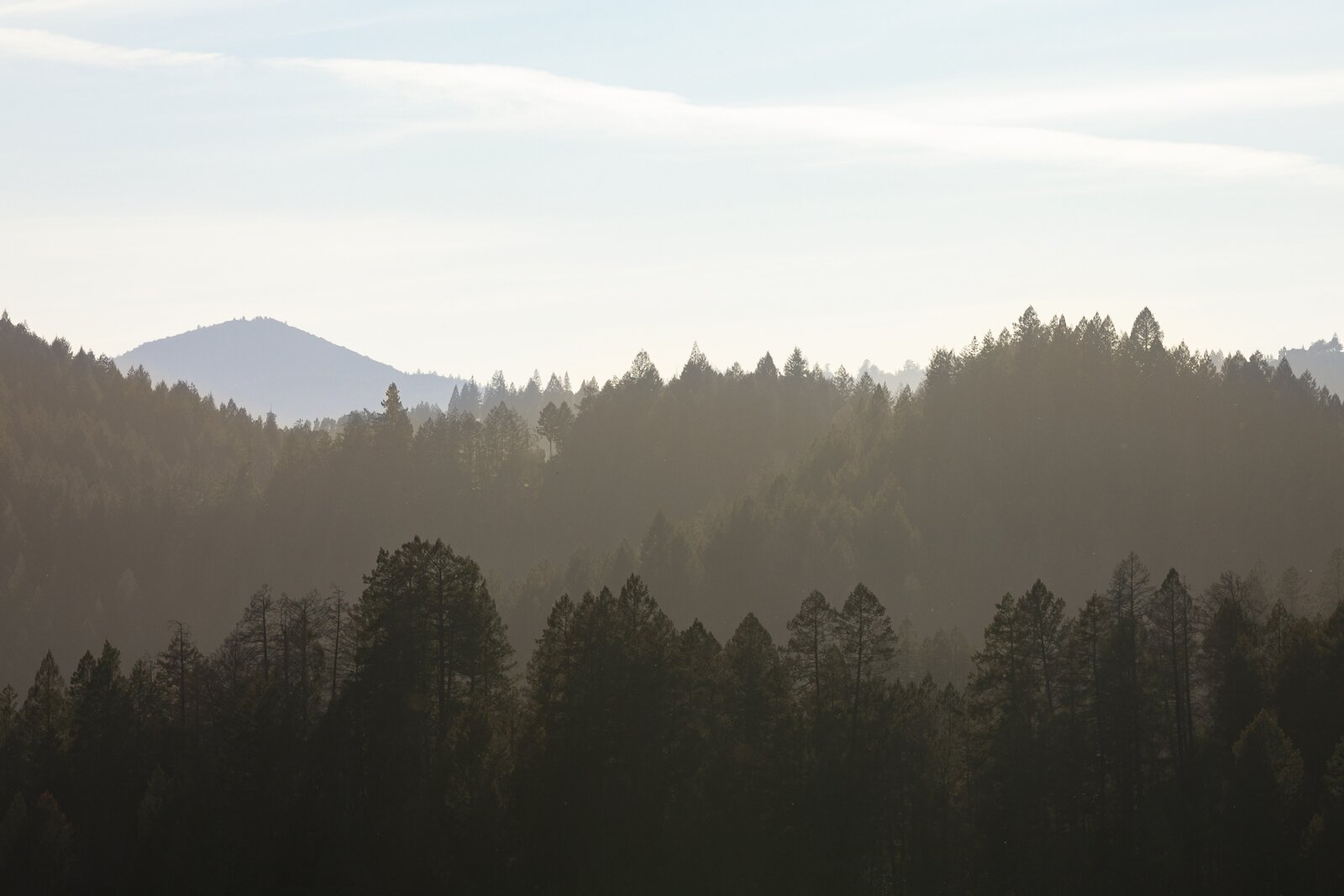 Photo 1 of 39 in Spring Creek Ranch by Lou Rosenberger - Dwell