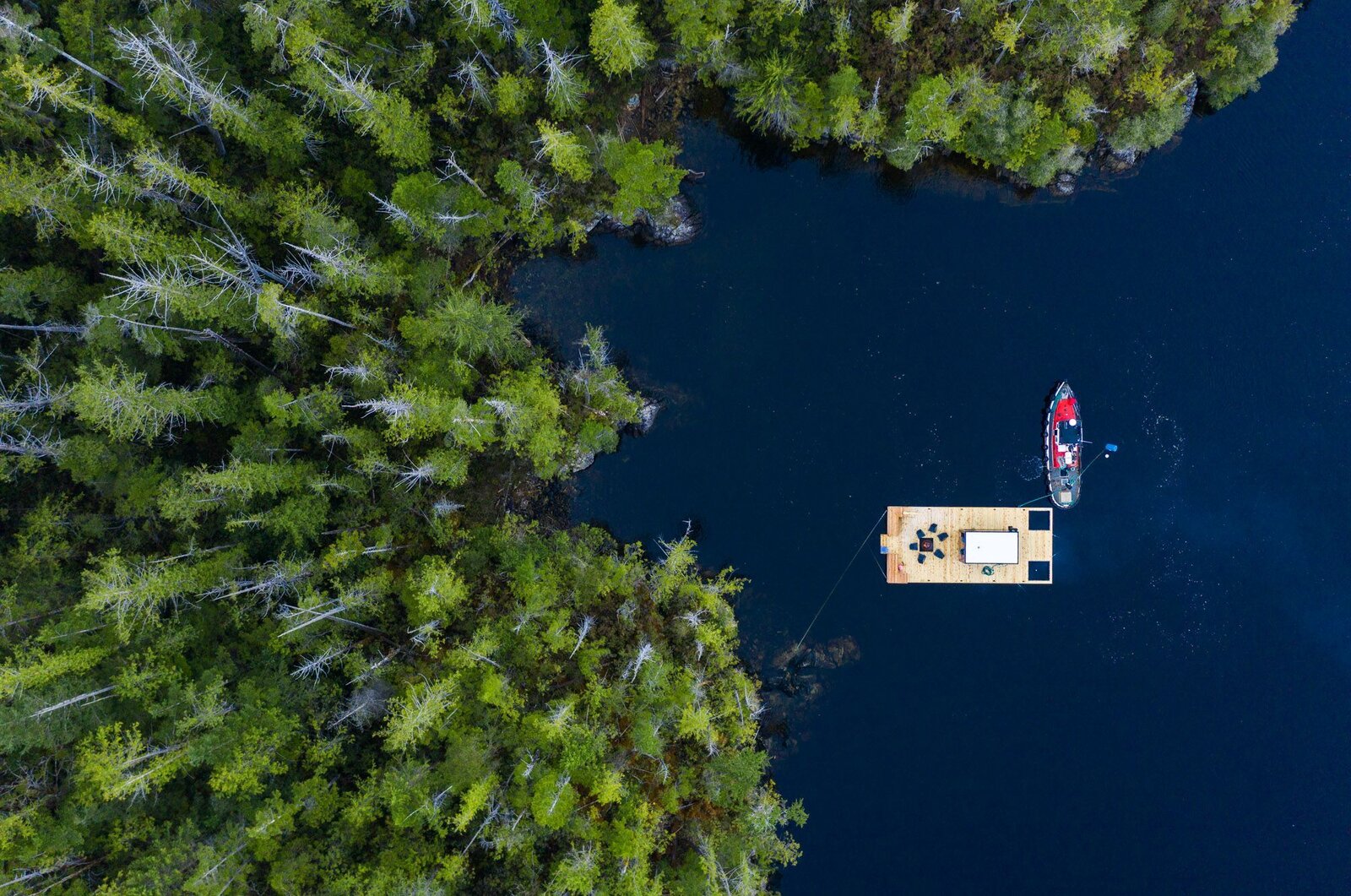 Photo 2 of 7 in A WoodFired Floating Sauna Brings the Heat to