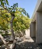 Modern home with Exterior, House Building Type, Concrete Siding Material, Stone Siding Material, and Green Roof Material. Home Studio by Manuel Cervantes Estudio #DwellDesignAwards2020 Photo of Home Studio