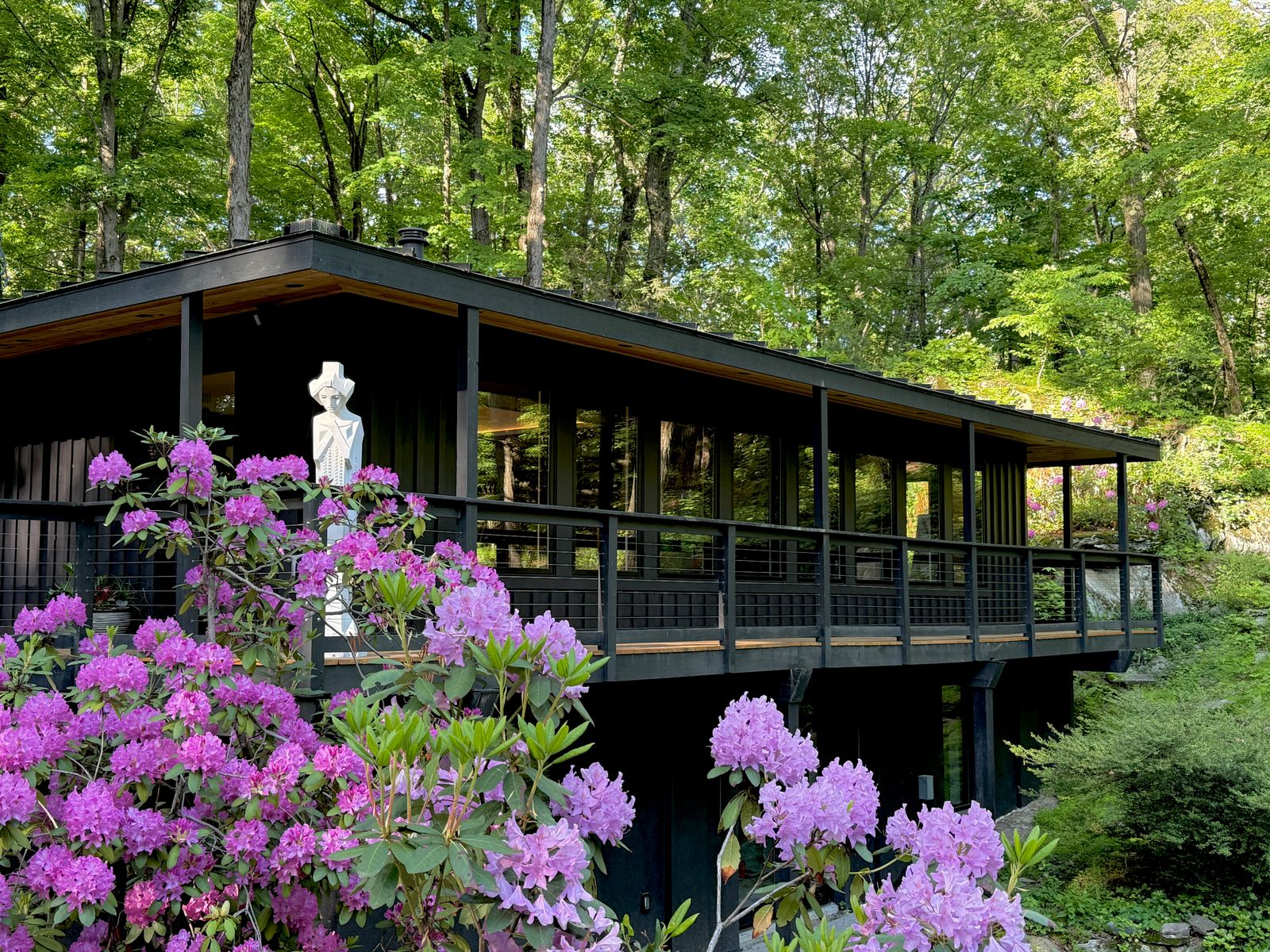 Photo 7 of 21 in The Treehouse by Eduardo Gonzalez - Dwell
