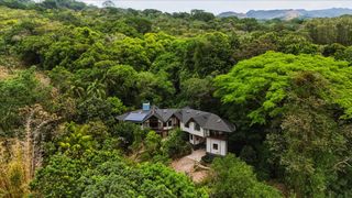 Tree House Vibes Fill This $1.1M Forest Home in Costa Rica