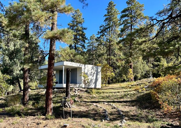 The forested property has ample available land to build a larger home and adapt the cabin as a guest house.