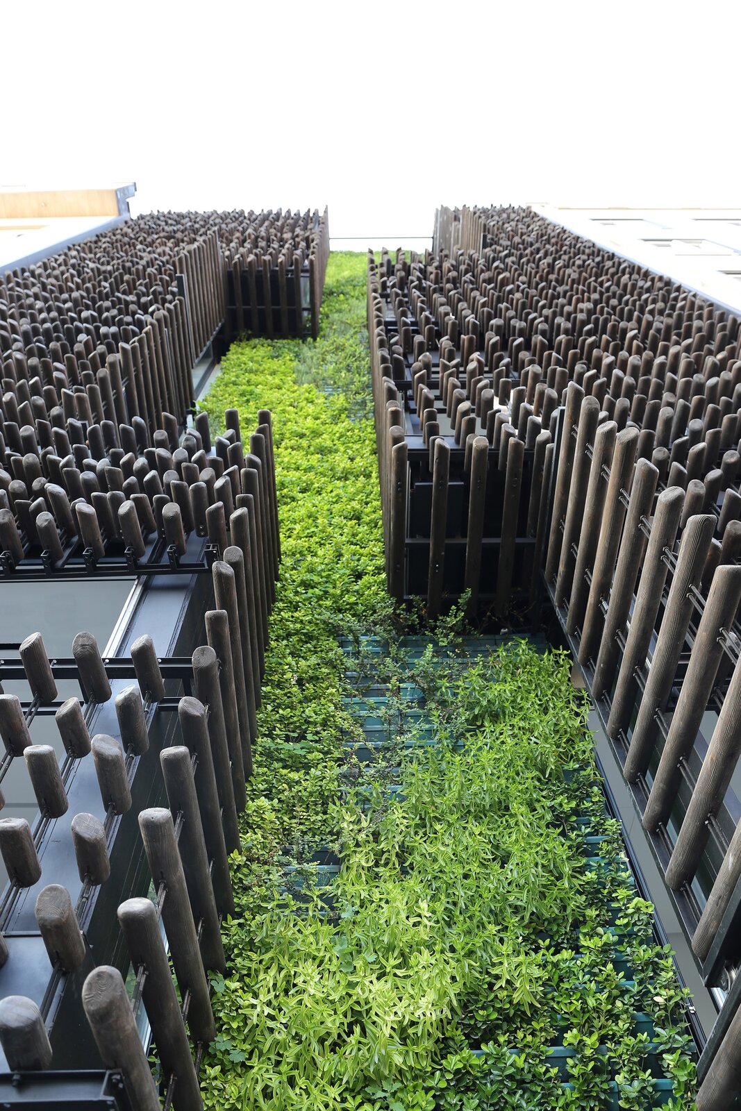 Photo 1 of 12 in Approximation House by Habibeh Madjdabadi - Dwell