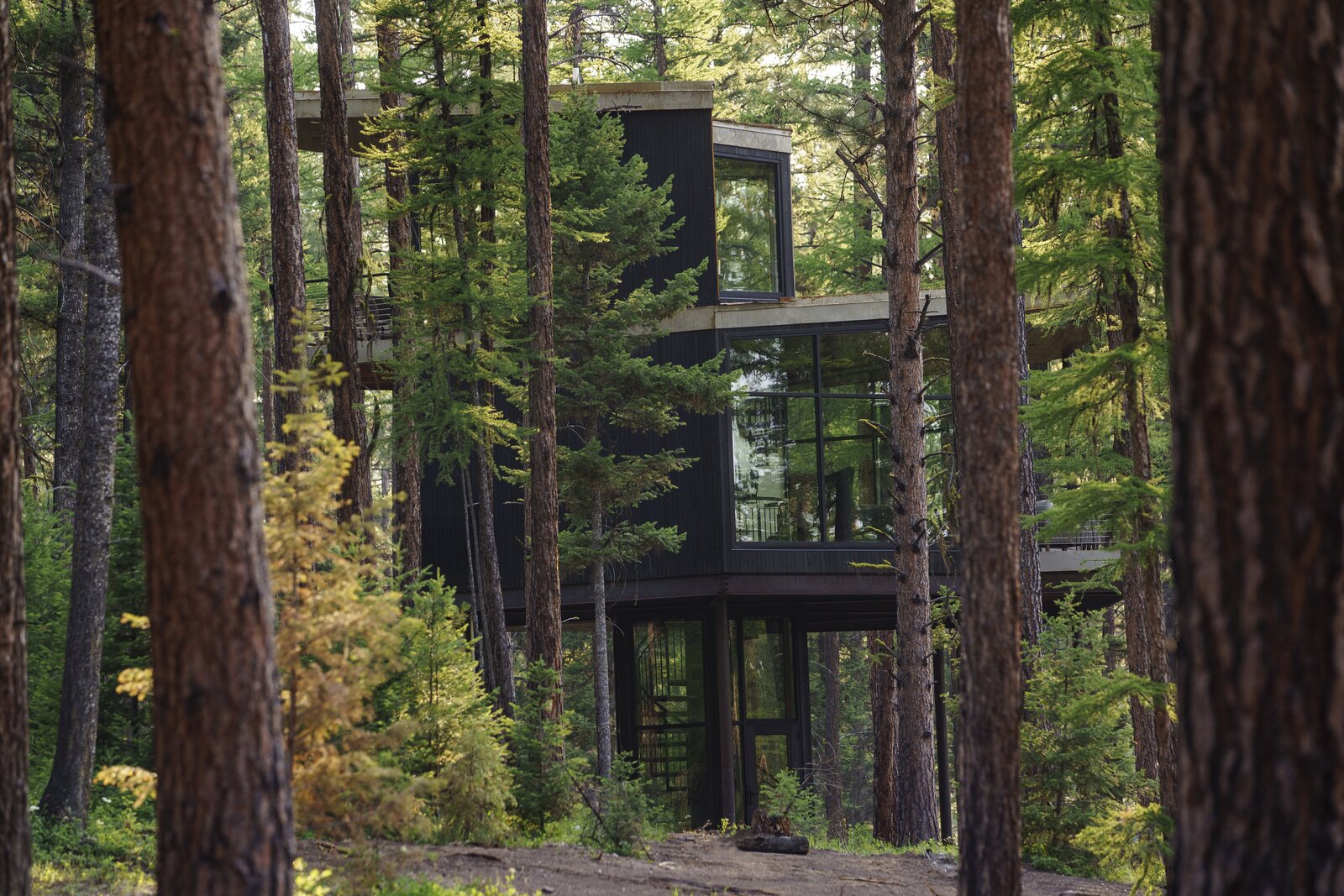 Tree Haus (4 Photos) - Dwell