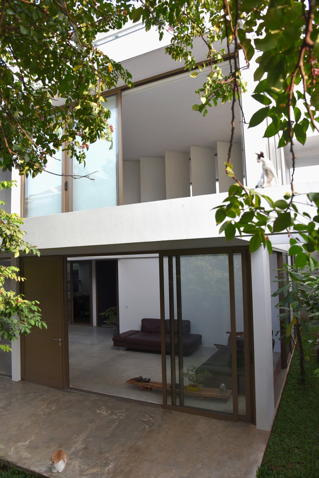 72 Alluring Threes Company Living Room Zoom Background Voted By The